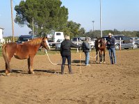 Junior 1
